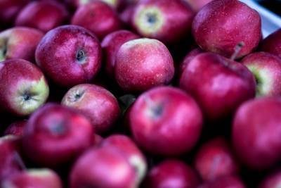 Диетолог предупредила об опасности неправильного употребления фруктов