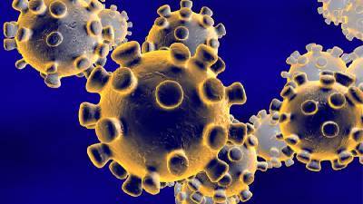 Еще 64 смолянина заболели коронавирусом