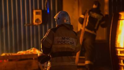 Мать и двое детей погибли при пожаре в частном доме под Омском