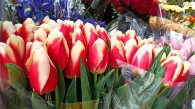 ФАН разобрался, какие цветы выбирать 8 марта и что дарят дагестанцы своим женщинам