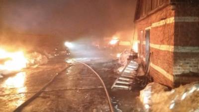 Неизвестные злоумышленники сожгли 13 машин в Тульской области