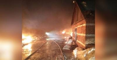 Сильный пожар уничтожил 13 автомобилей на парковке под Тулой