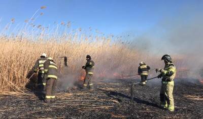 В Астраханской области горит заповедник на площади 8,5 га