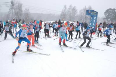 В Красногорске 600 человек пробежали триатлон