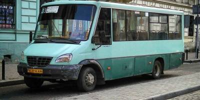 Водитель маршрутки во Львовской области отказал дочери погибшего в АТО военного в праве на льготный проезд - ТЕЛЕГРАФ