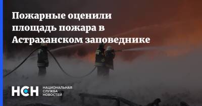 Пожарные оценили площадь пожара в Астраханском заповеднике