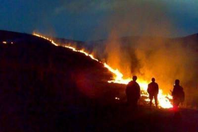В Астраханском заповеднике площадь пожара достигла 8,5 га