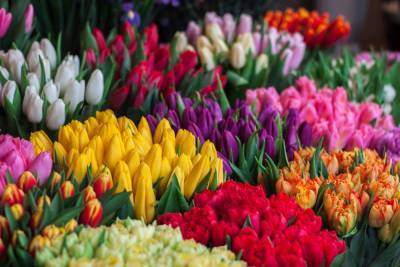 Сколько стоят цветы к 8 марта: цены в городах Украины