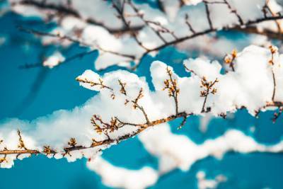 Прогноз погоды на 9 марта: морозы все еще не покидают Украину