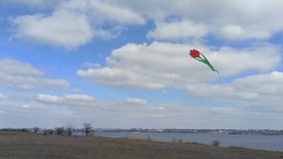 К 8 Марта: на Николаевщине в небо запустили семиметровые тюльпаны