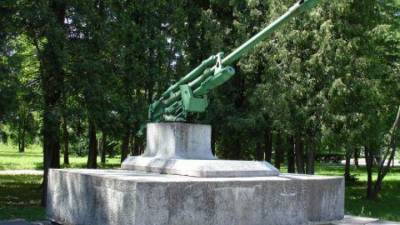 Латвийская полиция нашла похитителя пушки с советского мемориала