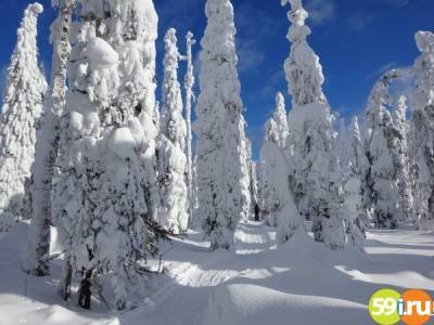 Зимой 2020-2021 годов в Прикамье зафиксировано много температурных рекордов и погодных аномалий