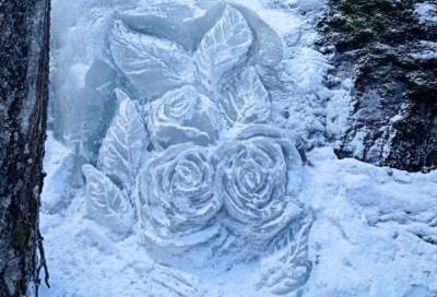 В парке "Монрепо" к 8 Марта "распустились" ледяные розы