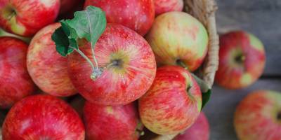 В мая 2021 года яблоки вырастут в цене в три раза, заявили эксперты - ТЕЛЕГРАФ