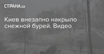 Киев внезапно накрыло снежной бурей. Видео