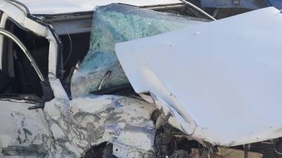 Женщина и ребенок погибли в ДТП с грузовиком под Рязанью