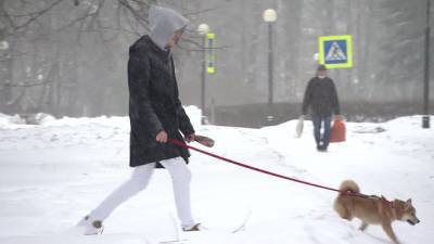 Новости на "России 24". Жителям Центральной России обещают январские морозы