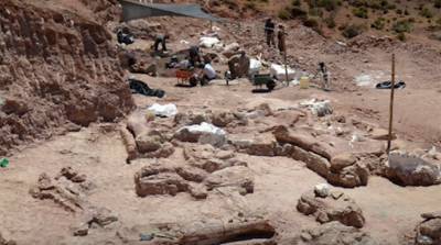 В Аргентине найдены останки огромного динозавра, жившего 140 миллионов лет назад