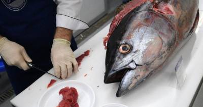 Ученый назвал полезную рыбу, которая может отравить людей