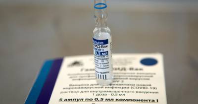 В Чехии назвали "Спутник V" одной из лучших вакцин в мире