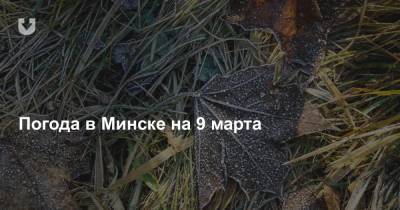 Погода в Минске на 9 марта