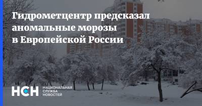 Гидрометцентр предсказал аномальные морозы в Европейской России