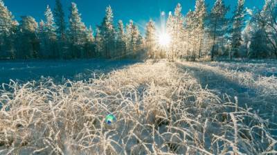 На короткой рабочей неделе в Воронежской области может похолодать до – 25