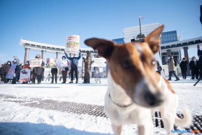 Мэрия Южно-Сахалинска отказала в митинге за отставку мэра на площади Победы