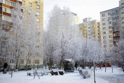 Морозы окрепнут до -20 градусов к концу недели в Новосибирске