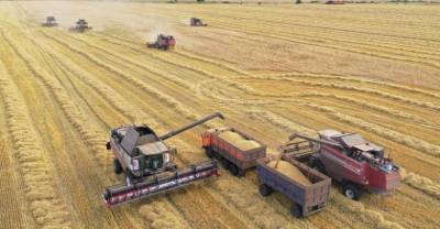 Россия в 2020 году установила рекорд по поставкам продовольствия за рубеж