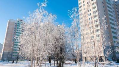 В Гидрометцентре предупредили об аномальных морозах в России