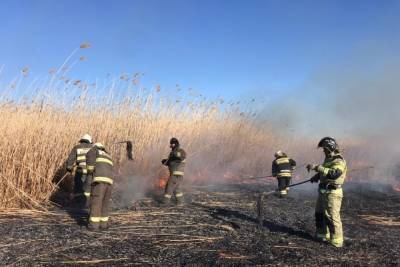 В Астраханском заповеднике потушили крупный пожар