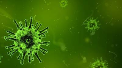 Эпидемия коронавируса в России может пойти на спад этим летом