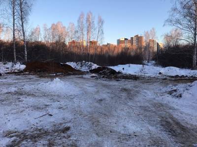 Жители северо-запада Челябинска возмутились работами по прокладке водовода через лес