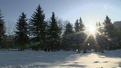 В Центральную Россию идет аномальный холод с почти 30-градусными морозами