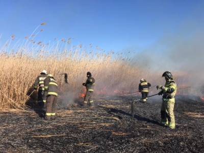 В Астраханском заповеднике обнаружено 12 очагов возгорания
