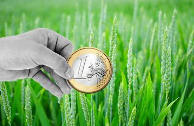 В Украине стартовала форвардная кампания на зерно урожая-2021