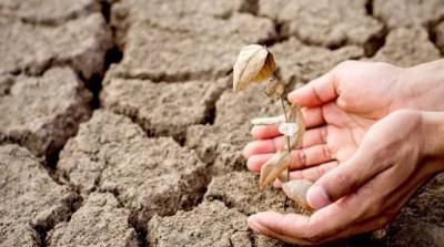 Новые погодные рекорды: синоптики прогнозируют в Украине сильную засуху