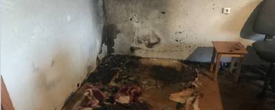 В понедельник в Череповце на улице Командарма Белова загорелась квартира жилого дома