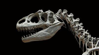 Стала известна окончательная причина гибели динозавров