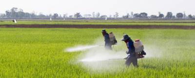 Россельхознадзор будет вновь контролировать ввоз и обращение пестицидов в стране