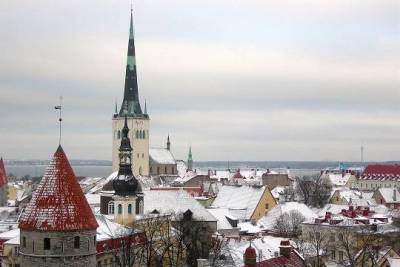 Власти Эстонии вводят локдаун из-за «британского» штамма коронавируса