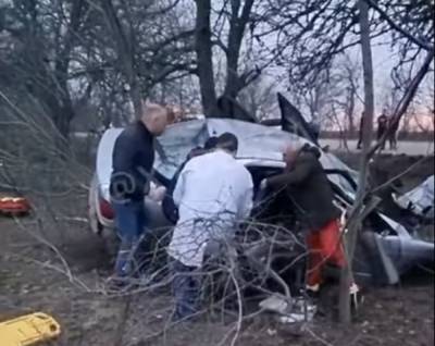 Трагическое ДТП на Одесчине, видео последствий: "слетел с дороги и напоролся на дерево"