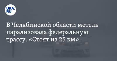 В Челябинской области метель парализовала федеральную трассу. «Стоят на 25 км». Фото
