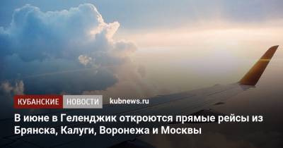 В июне в Геленджик откроются прямые рейсы из Брянска, Калуги, Воронежа и Москвы