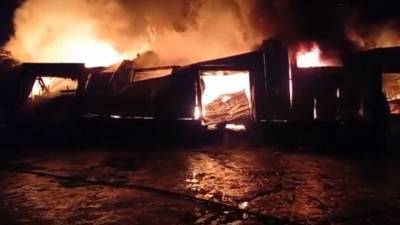 Трое детей из многодетной семьи погибли в пожаре на Сахалине