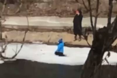 "Разговор важнее ребенка": киевлянка решала свои дела, пока малыш играл на подтаявшей льдине, видео