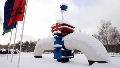 Мозырский НПЗ в Белоруссии возобновил прием нефти по «Дружбе»