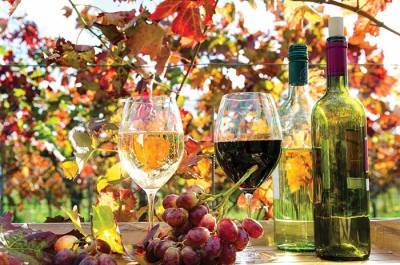 Первое вино «Piwi-Wein» будет выполнять дипломатическую миссию для посольств Германии