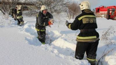 Тракторист обиделся на начальника и сжег 350 рулонов сена в Кузбассе